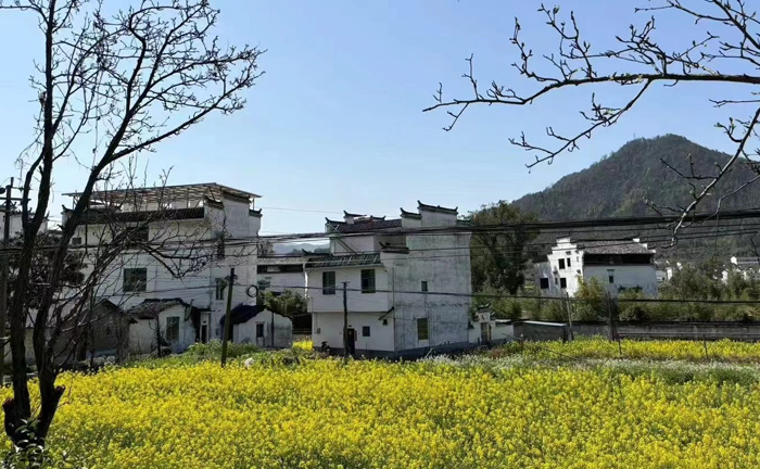 【悅色江西】登廬山、三清山、篁嶺梯田花海、觀仙俠望仙谷夜景、賞演出遇見婺源、夜宿婺女洲雙飛6日 